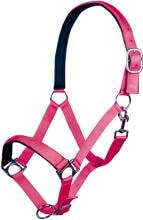 Cavezza HKM Stars Softice, fodera morbida, rosa, purosangue