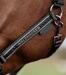 Halter elegante Waldhausen