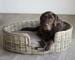 Happy House Klassischer Rattan Korb, oval, 