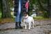 KERBL Pet Light & Reflex Leuchthalsband