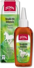 ZEDAN Strahl-Fit Intensiv Tinktur, 100ml
