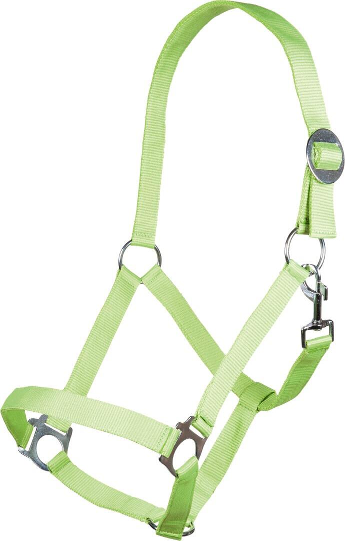 HKM Stars Economy Softice Halfter, neon grün, Vollblut