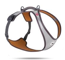curli Glow Belka Hundegeschirr, grau