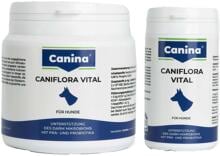 Canina Caniflora Vital
