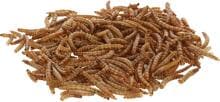 KERBL Hobbyfarming Mehlwürmer, getrocknet, 900g