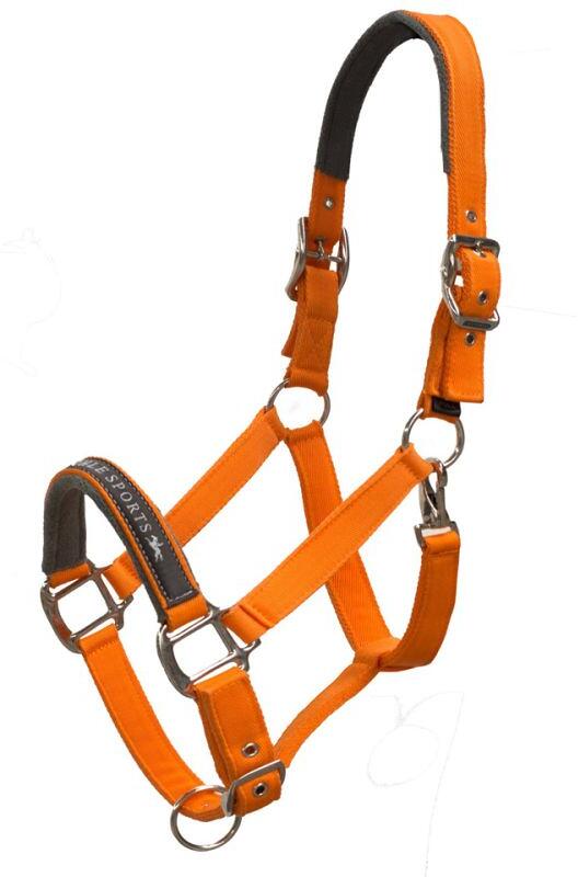 Schockemöhle Memphis SP Halfter, orange, WB XL