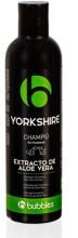 Bubble's Shampoo Yorkshire-Terrier