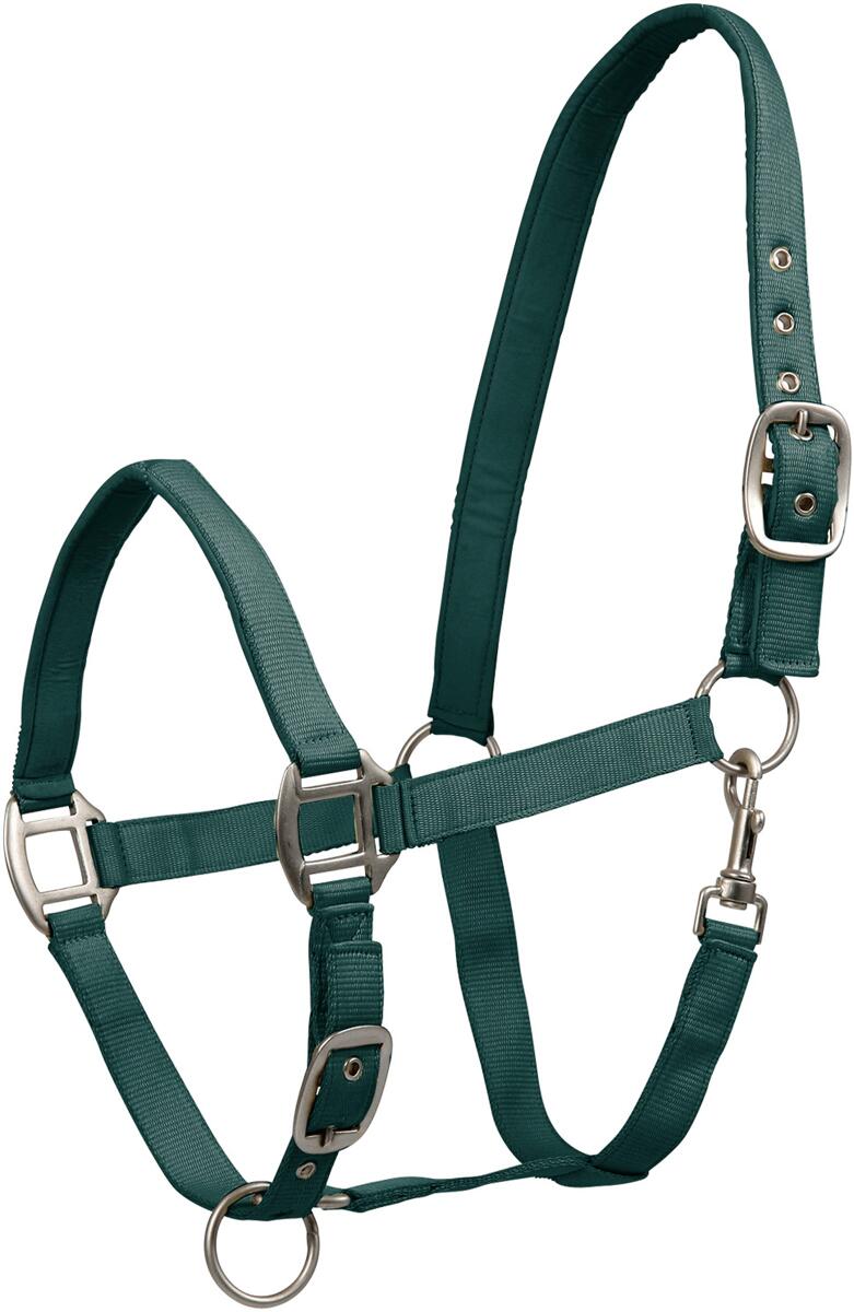 Waldhausen Satin Perlonhalfter, tannengrün, Pony