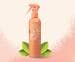 Pet Head Quick Fix Spray Sprühshampoo, 300ml