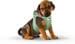 curli Puppy Starter Box