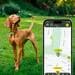 Kippy DOG GPS-Tracker