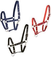 Waldhausen horse motif halter