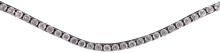 HKM Precious browband, white, thoroughbred