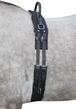 HKM lunging girth with handle, black, Shetty