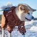 Hurtta Mudventure ECO Overall