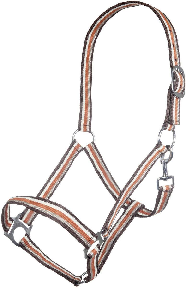 HKM Linz Halfter, braun, Vollblut