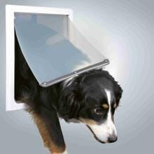Trixie 2-Wege Freilauftür für Hunde, mit Tunnel, M–XL/39x45cm, weiß