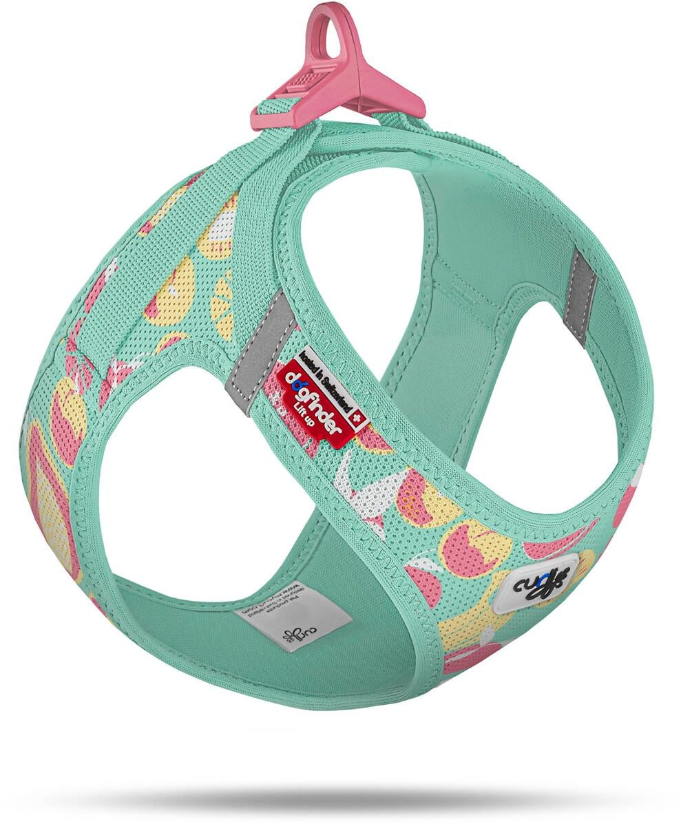 curli Clasp Limited Edition Air Mesh Hundegeschirr, Juicy Fruits Turquoise, XL