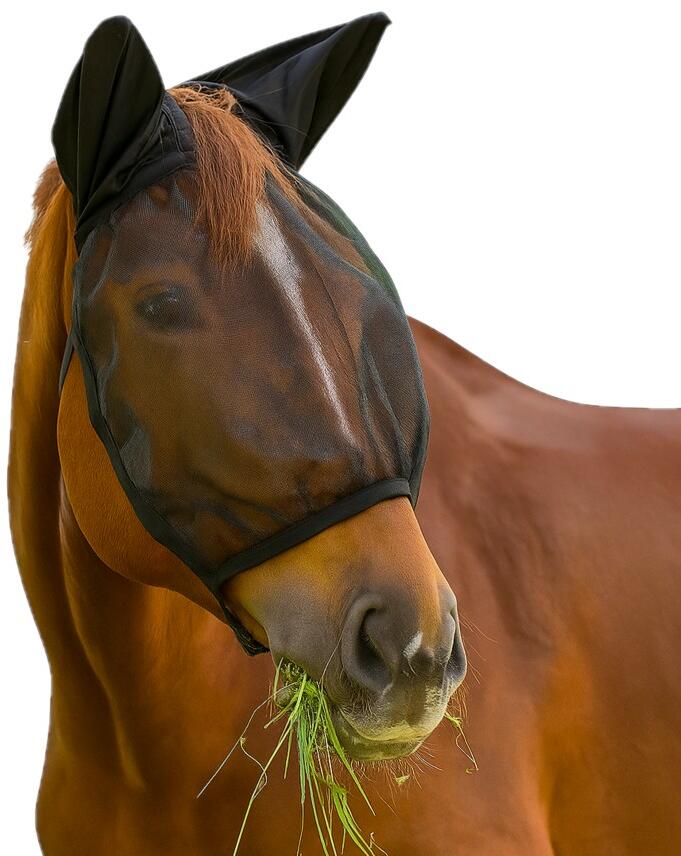 Waldhausen Basic Fliegenmaske mit Ohren, schwarz, Pony