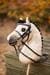 LeMieux Hobby Horse Kandarenzaumzeug, schwarz
