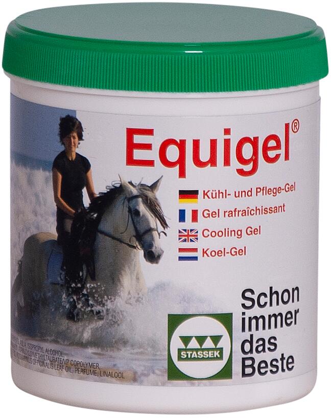 Stassek Equigel Kühl- & Pflegegel, 500ml