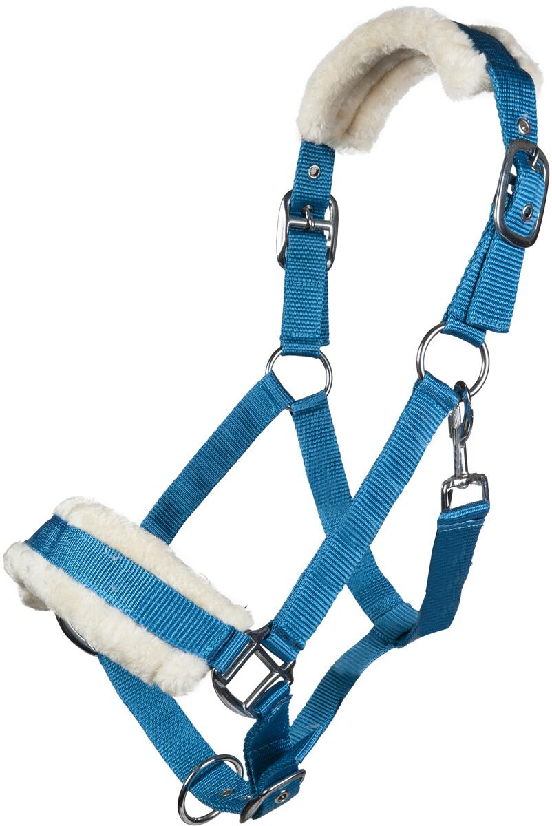 HKM Bischofshofen Halfter, Plüschpolsterung, türkis, Vollblut