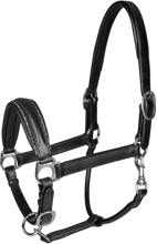 Waldhausen S-Line Glamour, cavezza in pelle