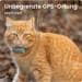 Tractive Cat Mini GPS Tracker