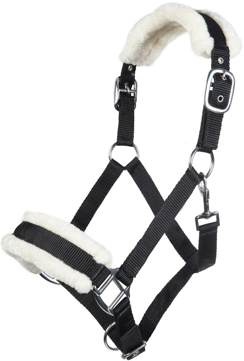 HKM Bischofshofen Halfter, Plüschpolsterung, schwarz, Pony