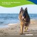 Canina Welpenkalk Tabletten