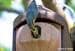 Schwegler nesting box 2GR, oval