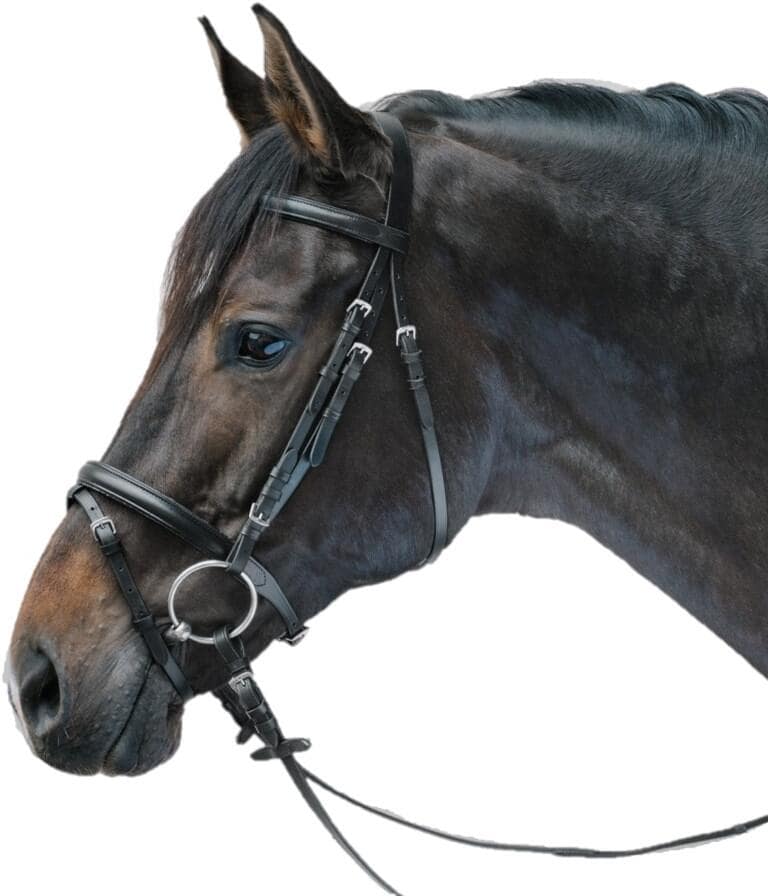 STAR Lifestyle Trensenzaum, schwarz, Pony