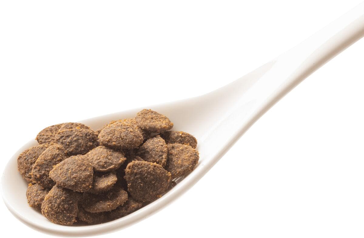 GranataPet DeliCATessen Trockenfutter mit Kaninchen & Lamm PetPoint Charly