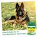 cdVet cdProtect Alimento complementare per cani