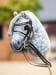 LeMieux Hobby Horse Kandarenzaumzeug, schwarz