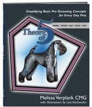 Fachliteratur | Theory of 5 - Its about Simplicity | von Melissa Verplank