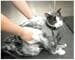 Show Tech Bathing Bag
