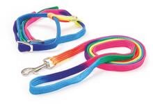 KERBL Pet Rainbow cat harness with lead, 10mm/120cm