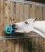 Cavallo Bizzy Palla Bizzy