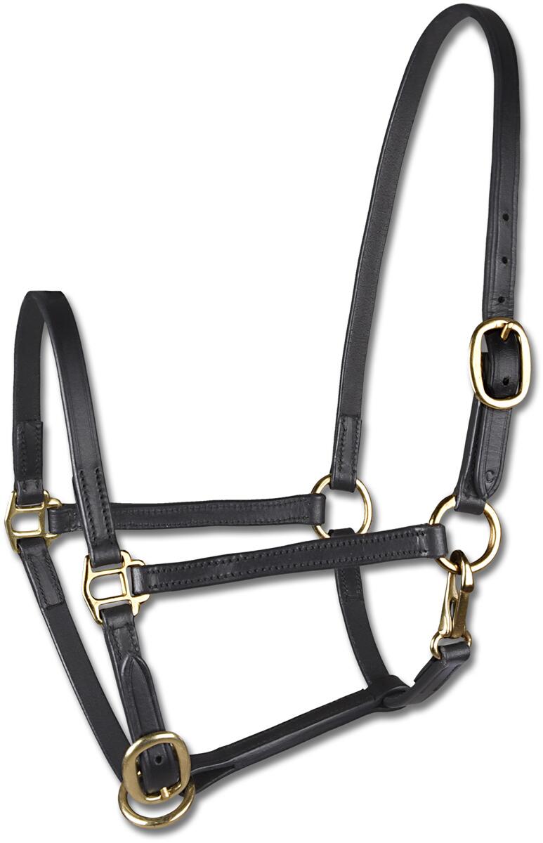 STAR Leder Fohlenvorführhalfter, schwarz, Pony