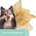 KERBL Pet Beef Ears