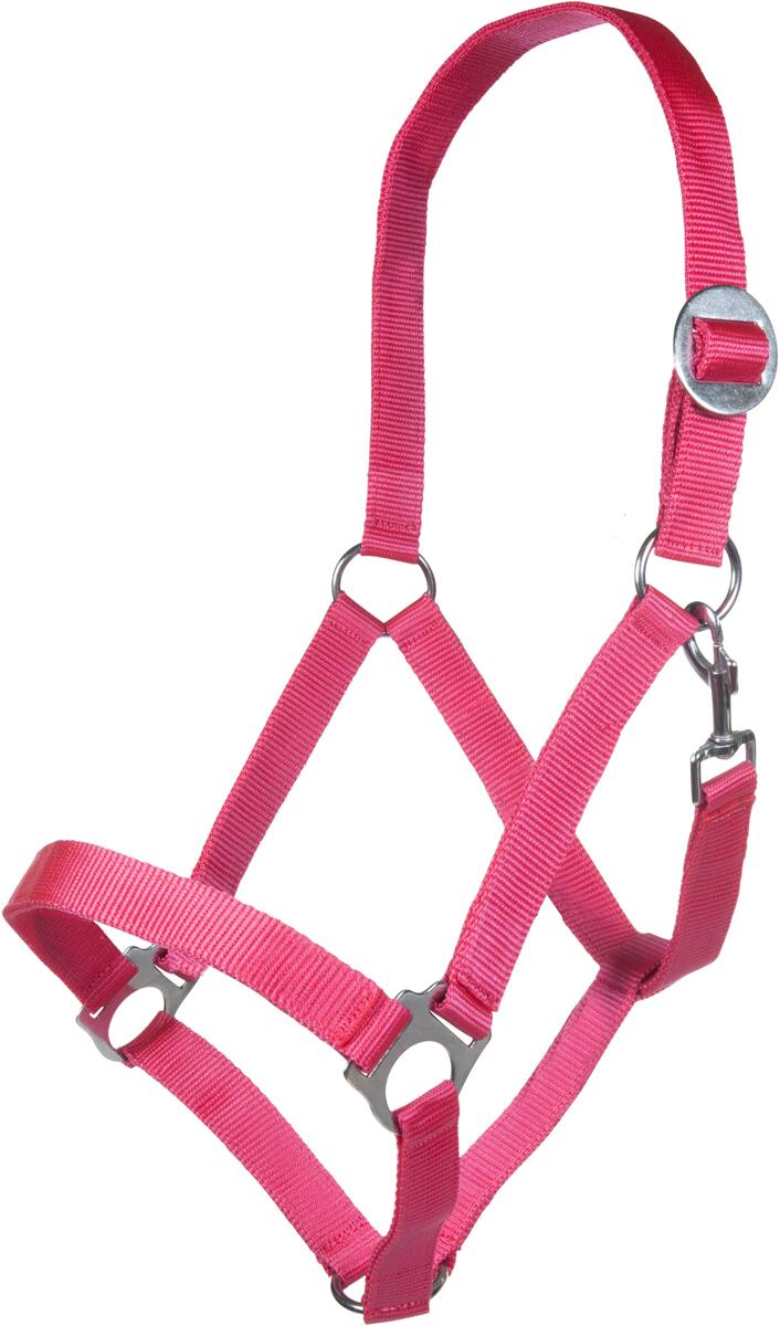 HKM Stars Economy Softice Halfter, pink, Warmblut