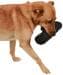  KERBL Pet Snack-Dummy