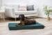 KERBL Pet Oliver Memory Foam Matratze