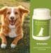 reboVet B-Komplex für Hunde, 50g