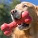 KONG Goodie Bone Hundespielzeug