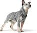 Hunter Maldon Up dog harness