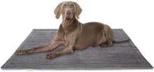 Knuffelwuff Timor Cord Hundedecke, 140x100cm, grau