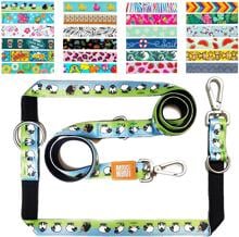 Max & Molly Multifunctional Lead