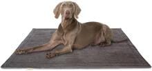 Knuffelwuff Timor Cord Hundedecke, 140x100cm, braungrau